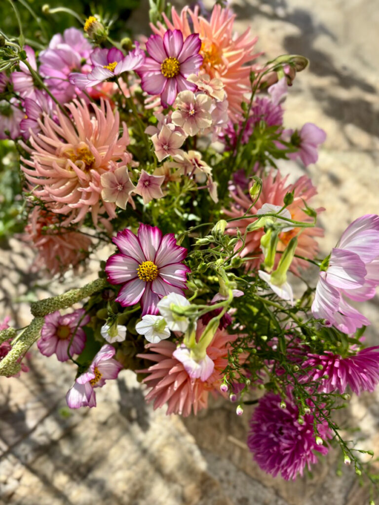 Blumenstrauss Dahlien Phlox Cosmea